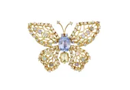Jeremejevite Butterfly (NMNH G11824)::17143762