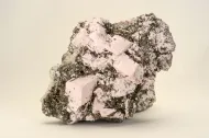 NMNH 132426::1000995