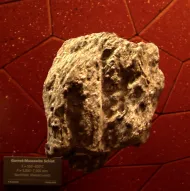 Garnetiferous schist (NMNH 116658-8)::10950069