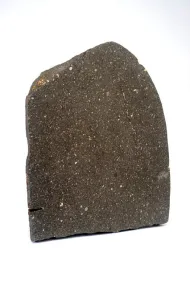Farmington (USNM 612)::1000947