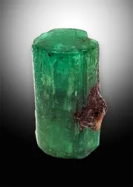 Georgina Emerald (NMNH 177086)::12040403