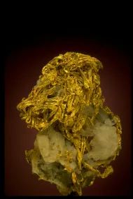 Gold with Quartz (63720)::10246667