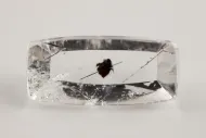 Quartz with chamosite (NMNH G10677-00)::10960547