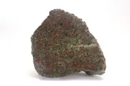 NMNH 110584::1000863