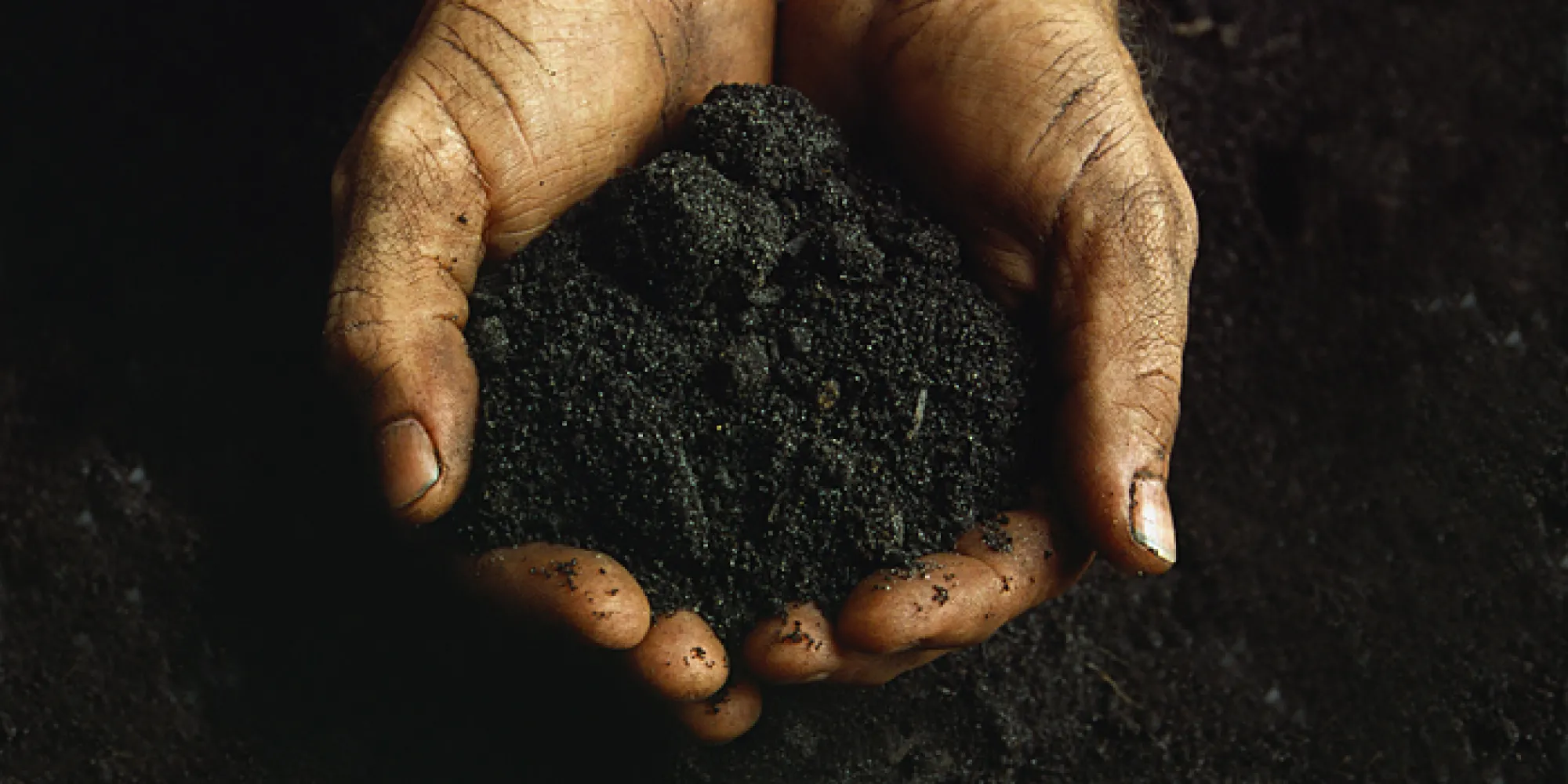 Two hands holding a handful of soil on a black background