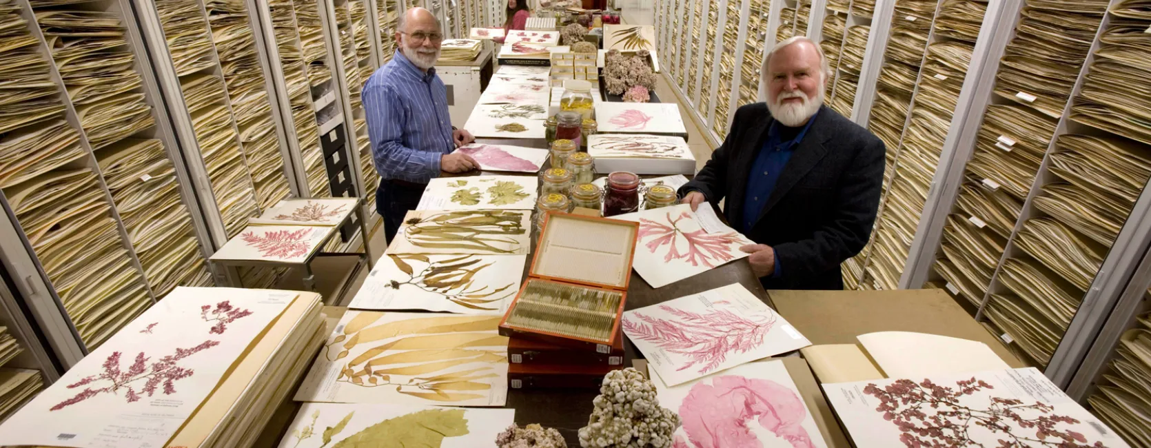 US Herbarium