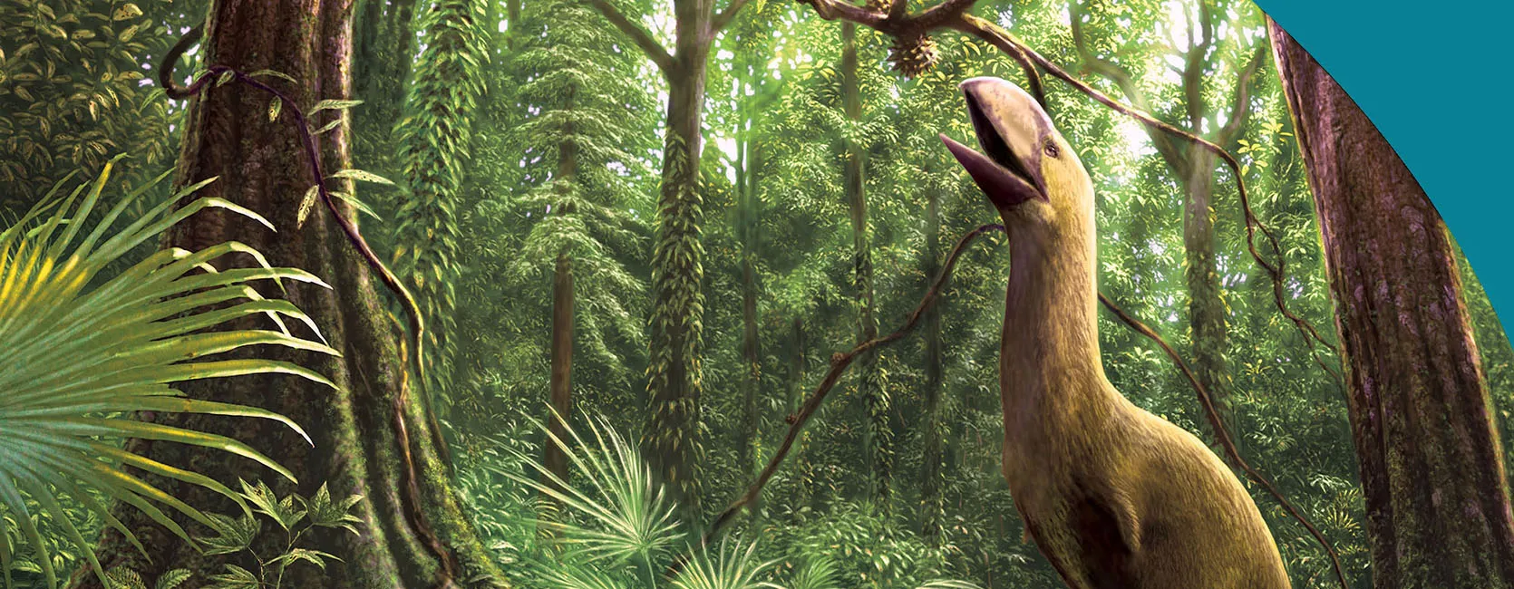 Mural of Diatryma, an extinct genus of large, flightless birds, eating fruit from a tree in an Eocene environment, Painted by Julius T. Csotonyi, Hungarian illustrator.