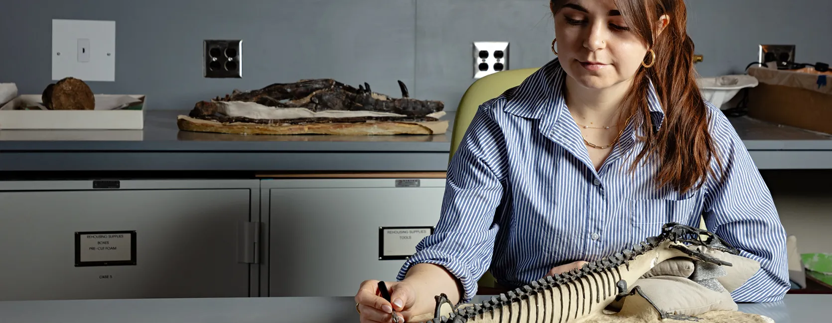 A woman sitting at a table, holding a tool towards a fossil lizard that is on the table. The woman has long reddish-brown hair and is wearing a blue-and-white striped button down shirt.