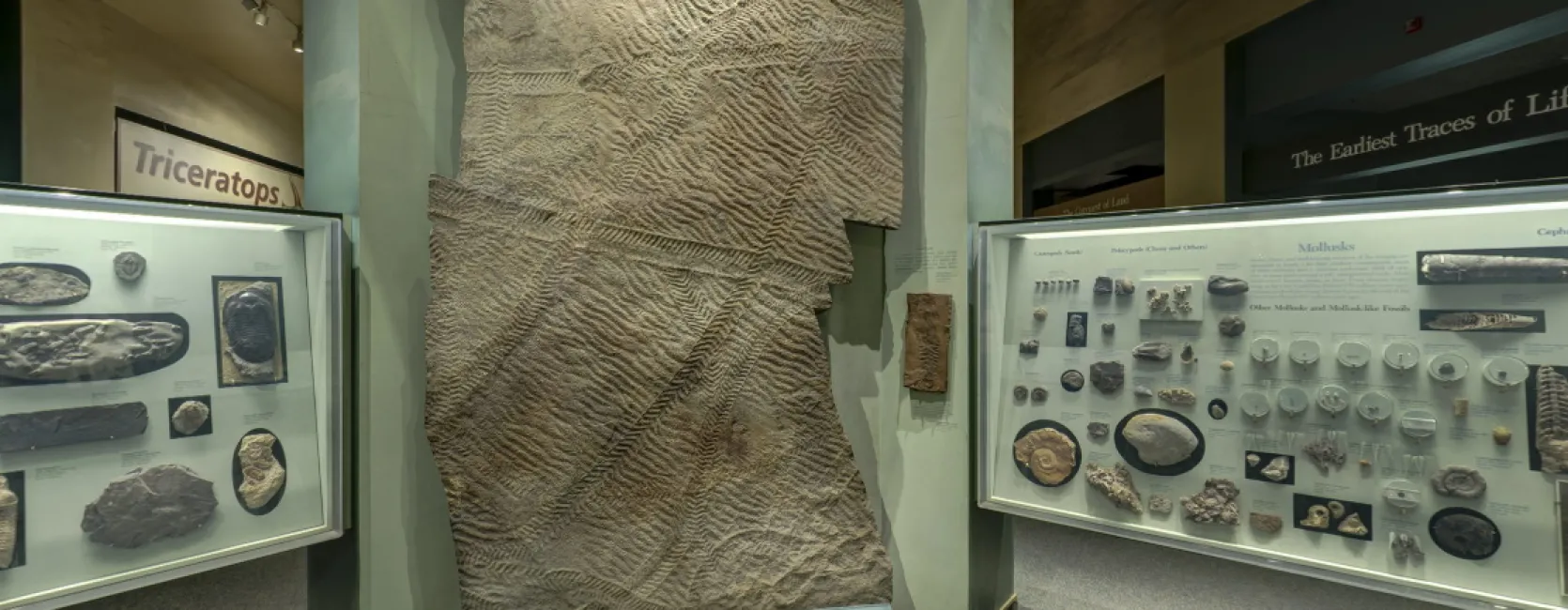 Old Fossil Hall, Burgess Shale