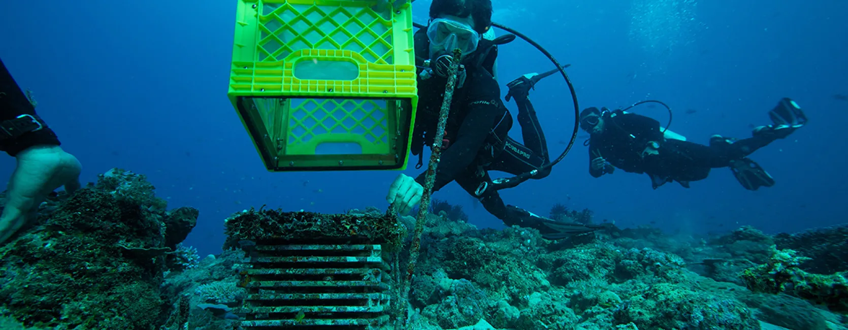 Divers Recovering ARMS in Bali, Indonesia. Copyright David Liittschwager