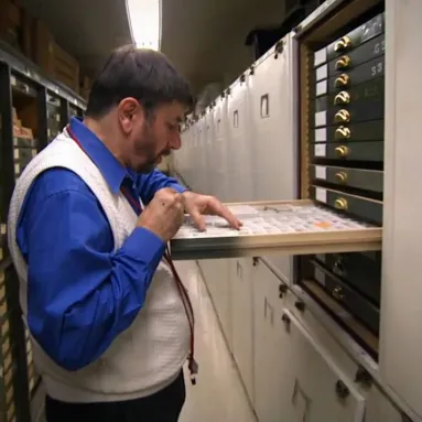 Conrad Labandeira: Senior Research Geologist and Curator of Fossil Arthropods