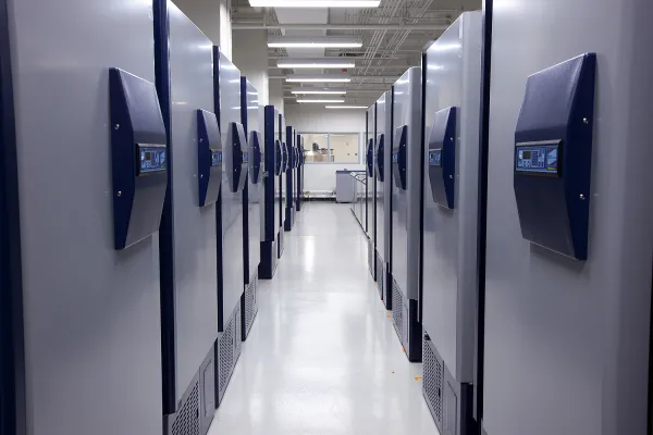 12 Large upright -40 freezers line either side of a hallway