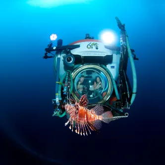 a submarine with people in it views a red lionfish