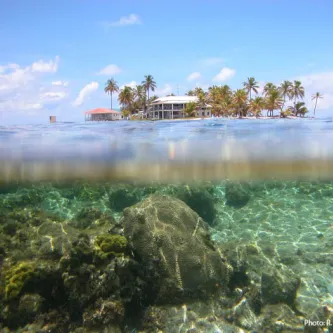 Caribbean Coral Reef Ecosystems Program