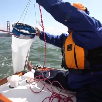 A person in a blue jacket and orange life vest sitting on a boat, pulling a net out of the water near the Golden Gate Bridge.