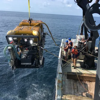 A sub is slowly lowered from a research vessel into the water