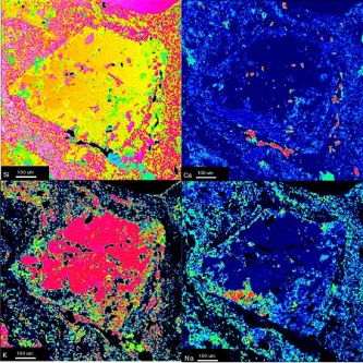 Four element maps from the electron microprobe