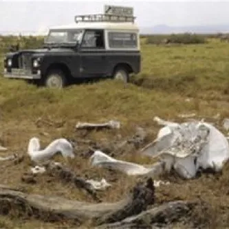 image depicts an open plain with scattered bones and a person in the foreground and a truck in the background
