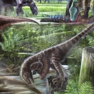 Color illustration of a swamp environment with many dinosaurs, a turtle, an alligator, ferns, and water channels