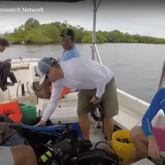 Five people on a boat, which is full of scuba equipment, near a tree-covered shoreline