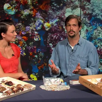 Maggy Benson and Dr. Christopher Meyer are seated at a table with two boxes of shells and some small plastic containers with specimens