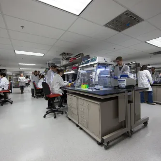 Photograph of scientists working in a LAB space