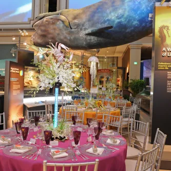 Ocean Hall Event