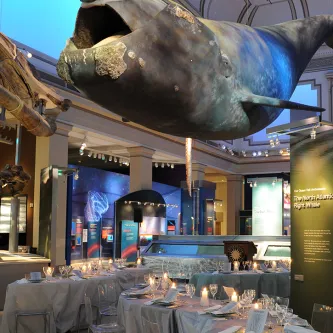 NMNH Ocean Hall transformed for an event