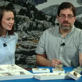 Maggy Benson and Dr. Matthew Carrano are seated at a table with many small boxes containing specimens.