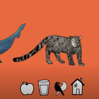 Color illustrations of a humpback whale, a clouded leopard, and a barred owl. Below the animals are small black and white drawings of an apple, a glass, lovebirds, and a house.