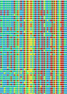 ARMS Bioinformatics