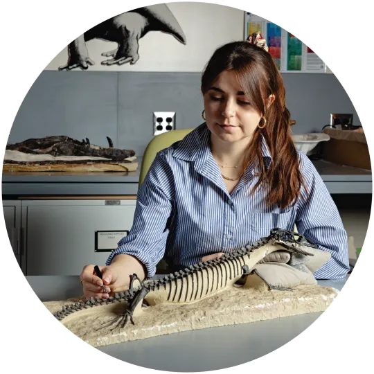 A woman sitting at a table, holding a tool towards a fossil lizard that is on the table. The woman has long reddish-brown hair and is wearing a blue-and-white striped button down shirt.