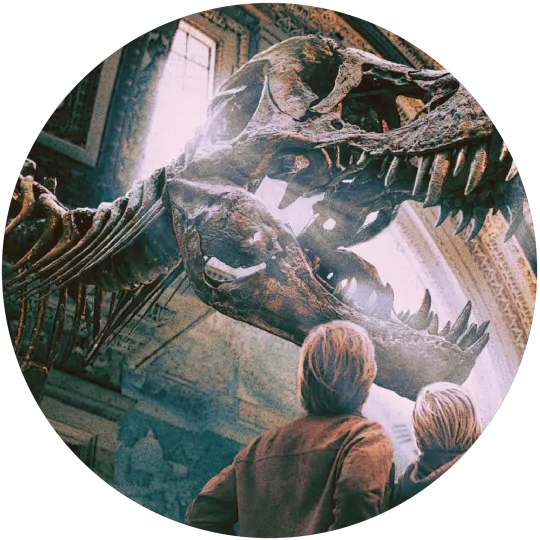 Two light-haired people looking up at the open jaws of a huge T. rex skeleton in a museum.