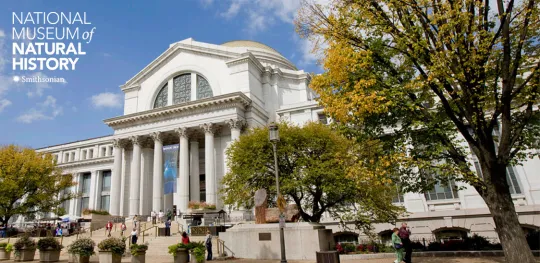 The National Mall entrance of the Smithsonian National Museum of Natural History