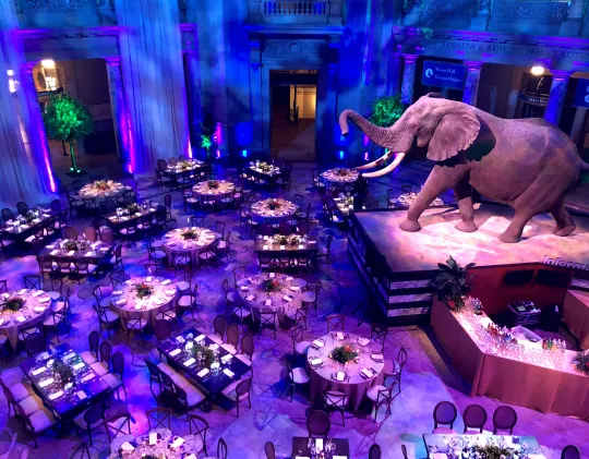 The Rotunda is set up for a formal dinner