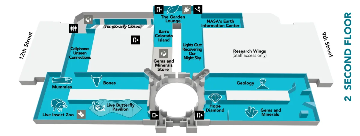 Map of the second floor of the museum, which has the following exhibits: Barro Colorado Island, Bones, Cellphone: Unseen Connections, Garden Lounge, Gems and Minerals, Geology, Hope Diamond, Live Butterfly Pavilion, Live Insect Zoo, Mummies, NASA's Earth Information Center at NMNH, and Lights Out: Recovering Our Night Sky. More details in the text below.