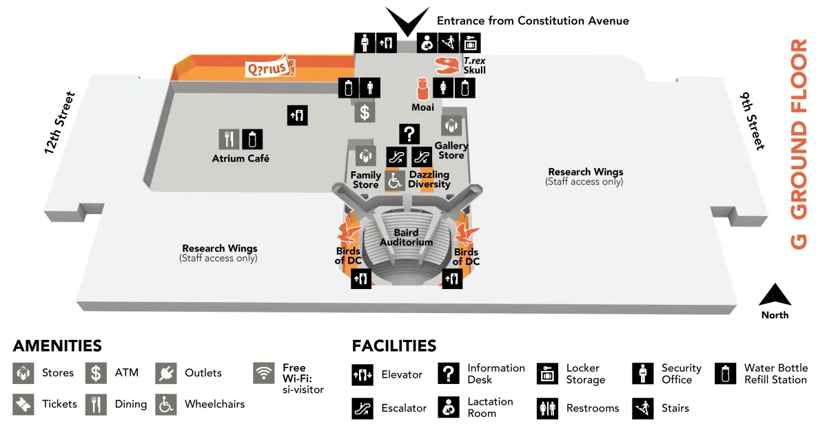 Map of the museum's ground floor, which has these exhibits: Berns Quartz, Birds of DC, Dazzling Diversity, Moai, Q?rius Science Education Center, and T. rex Skull. Under the map is a list of amenities and facilities in the museum: Stores, ATM, Outlets, Free Wi-Fi: si-visitor, Tickets, Dining, Wheelchairs, Elevator, Information Desk, Locker Storage, Security Office, Water Bottle Refill Station, Escalator, Lactation Room, Restrooms, and Stairs. More details in the text below.
