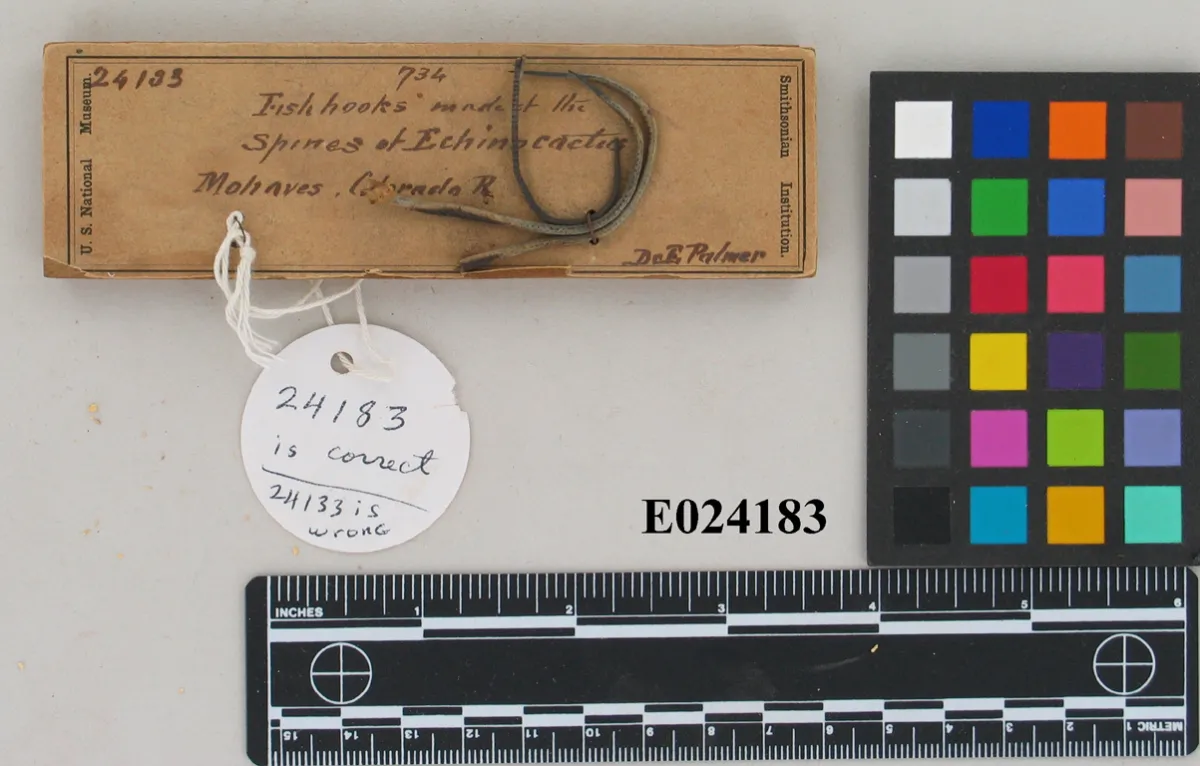 Palmer Object E24183