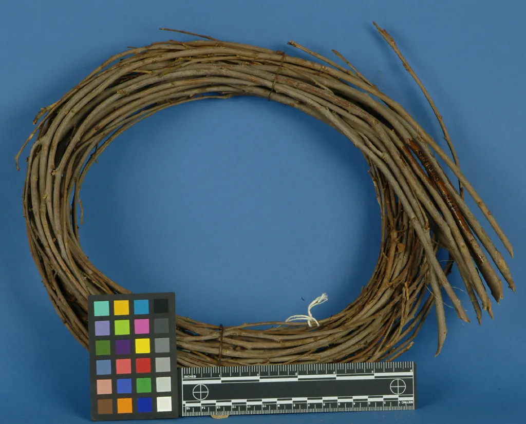 Palmer Object E21129