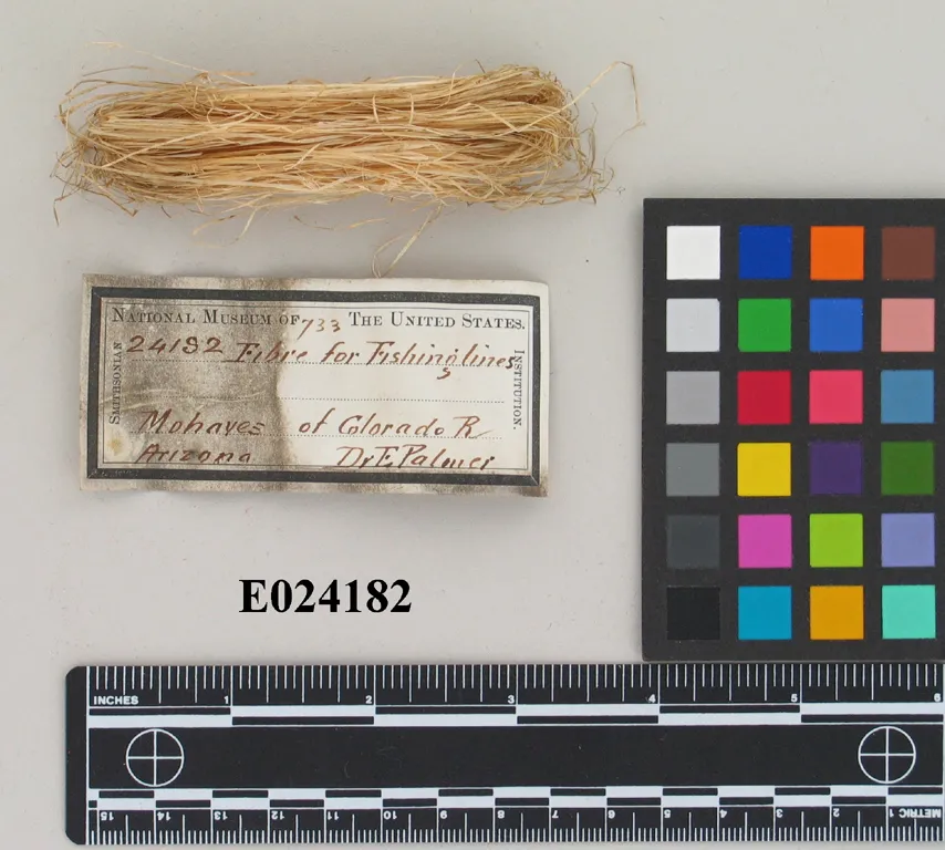 Palmer Object E24182