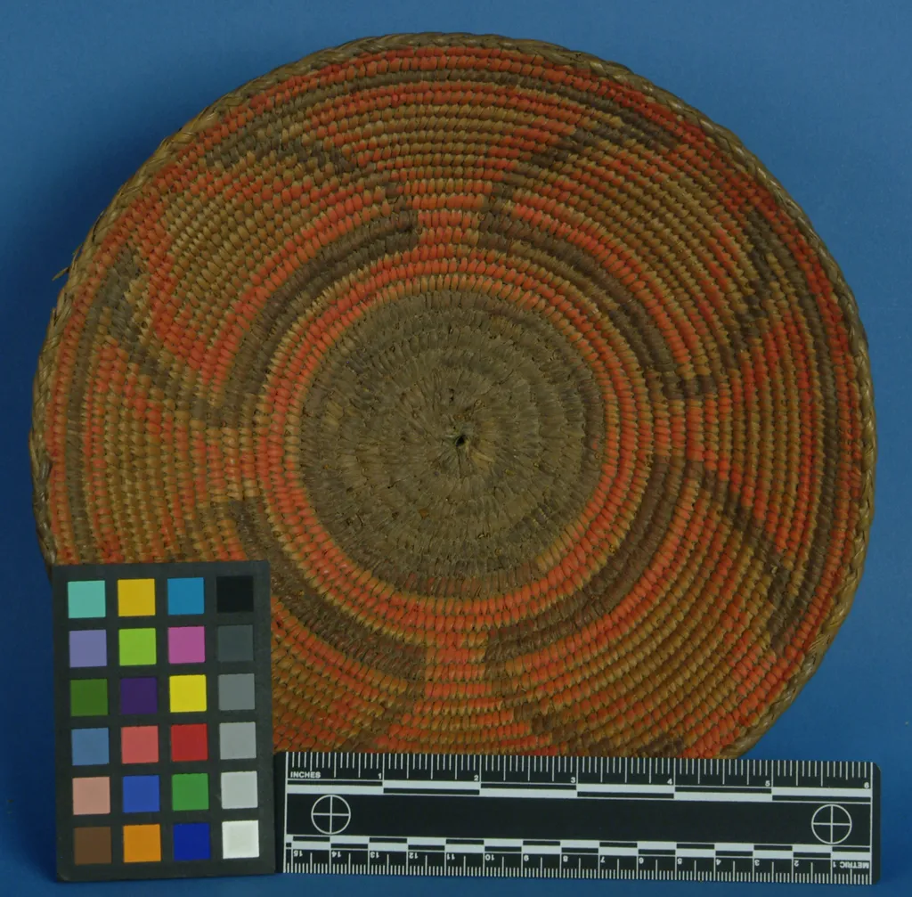 Palmer Object E76038