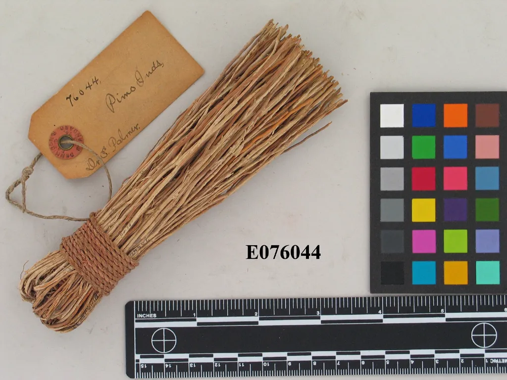 Palmer Object E76044