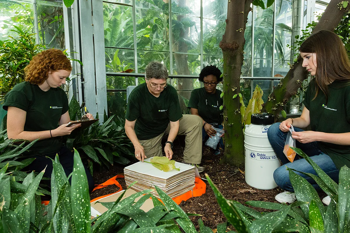 Team at Work in the GGI-Gardens