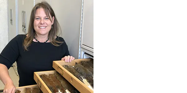 A smiling light-skinned woman with shoulder-length brown hair, wearing a black shirt. She is standing behind three open drawers full of squirrel-skin specimens.