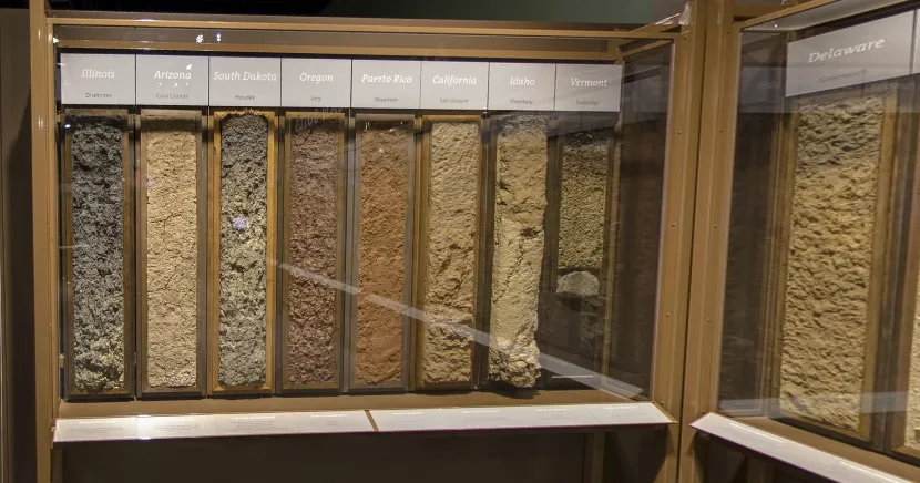 Soil display