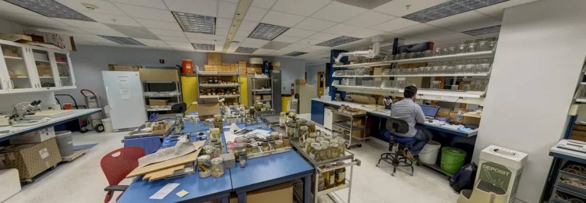 A laboratory at the Museum Support Center, the Laboratories of Analytical Biology? 