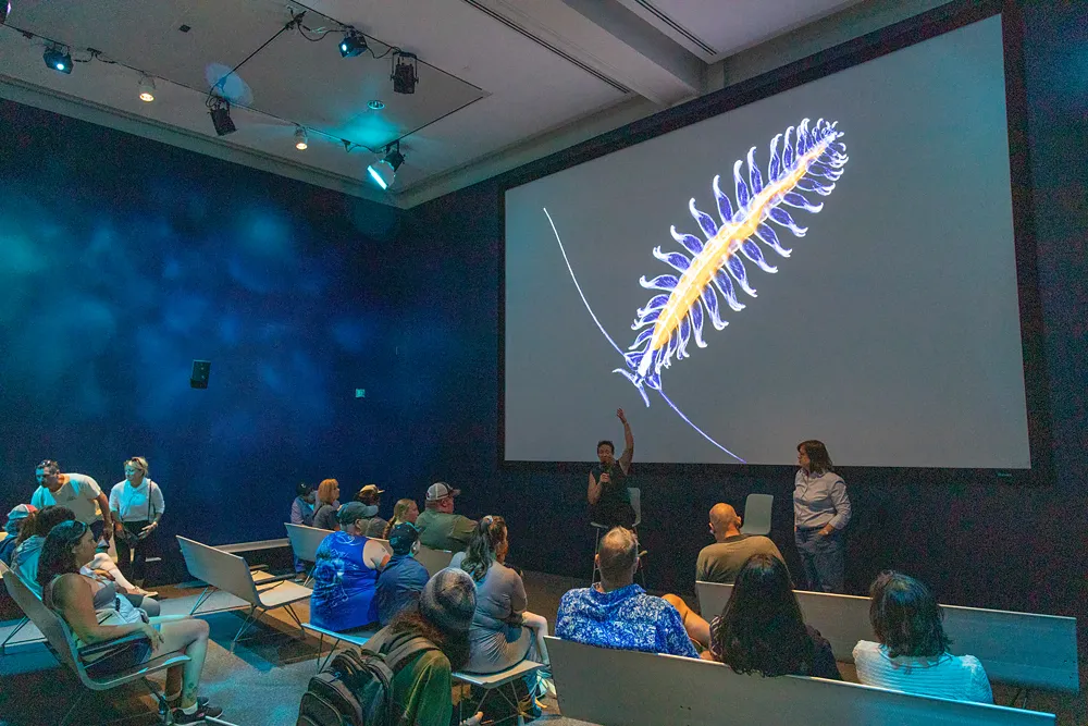 About 20 people sitting on benches in a small theater, looking at a large movie screen displaying a blue, yellow, and white ocean worm,  with what look like two antennae. The worm has a dozen pairs of appendages sticking out from its oval-shaped body. Two people stand in front of the screen, one pointing up and holding a microphone.