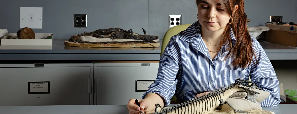 A woman sitting at a table, holding a tool towards a fossil lizard that is on the table. The woman has long reddish-brown hair and is wearing a blue-and-white striped button down shirt.
