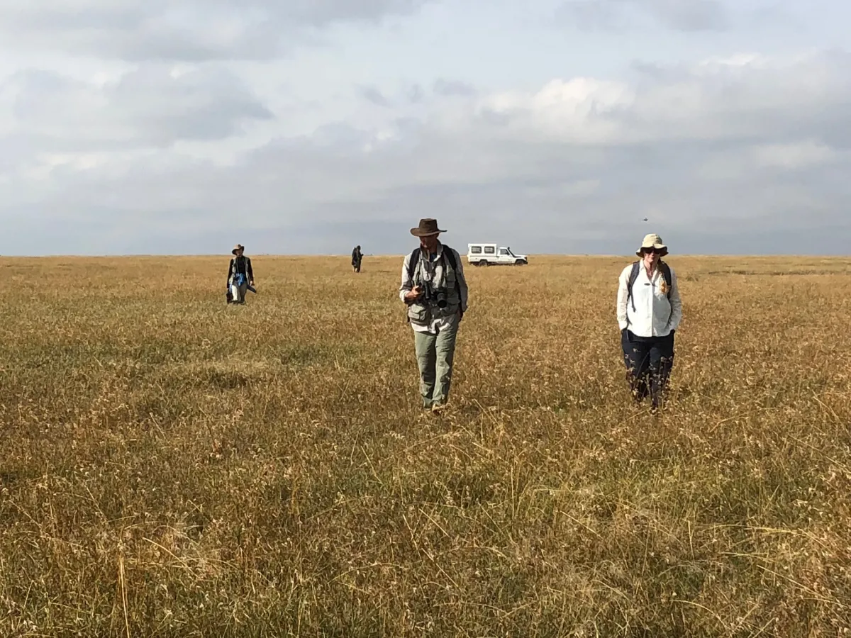 Archaeologists walking a transect.