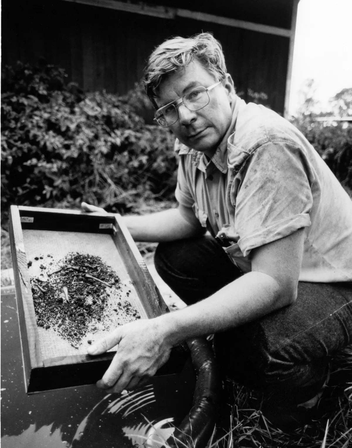 Black and white portrait of Storrs Olson.